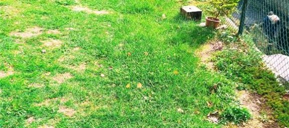 2 bedrooms Apartment in Ceppo Morelli, Italy No. 125086 41