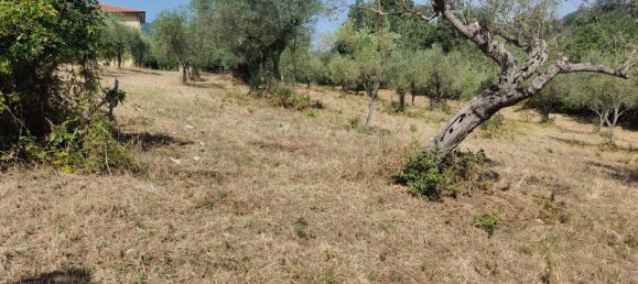 Terrain à Roccadaspide, Italy 5200m² No. 293282 8