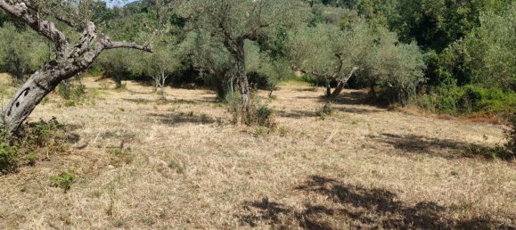 Terrain à Roccadaspide, Italy 5200m² No. 293282 9