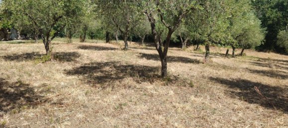 Terrain à Roccadaspide, Italy 5200m² No. 293282 5