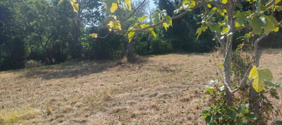 Terrain à Roccadaspide, Italy 5200m² No. 293282 10