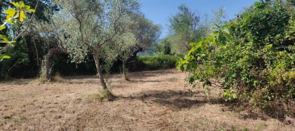 Terrain à Roccadaspide, Italy 5200m² No. 293282 7