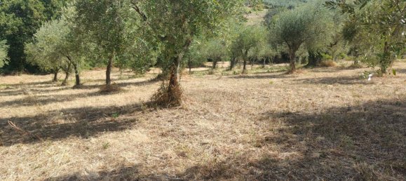 Terrain à Roccadaspide, Italy 5200m² No. 293282 6