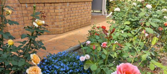 3 Schlafzimmer Haus in Crows Nest, Australia, Nr. 307 22