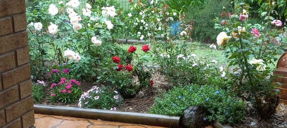 3 Schlafzimmer Haus in Crows Nest, Australia, Nr. 307 23