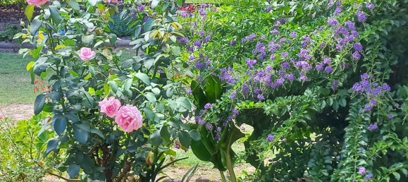 3 Schlafzimmer Haus in Crows Nest, Australia, Nr. 307 24