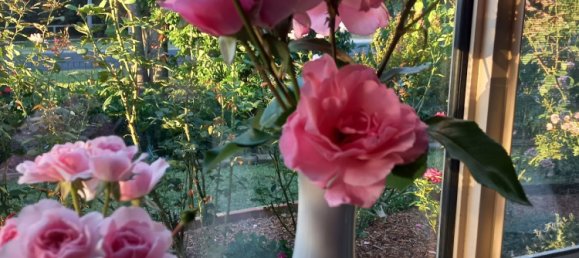 3 Schlafzimmer Haus in Crows Nest, Australia, Nr. 307 17