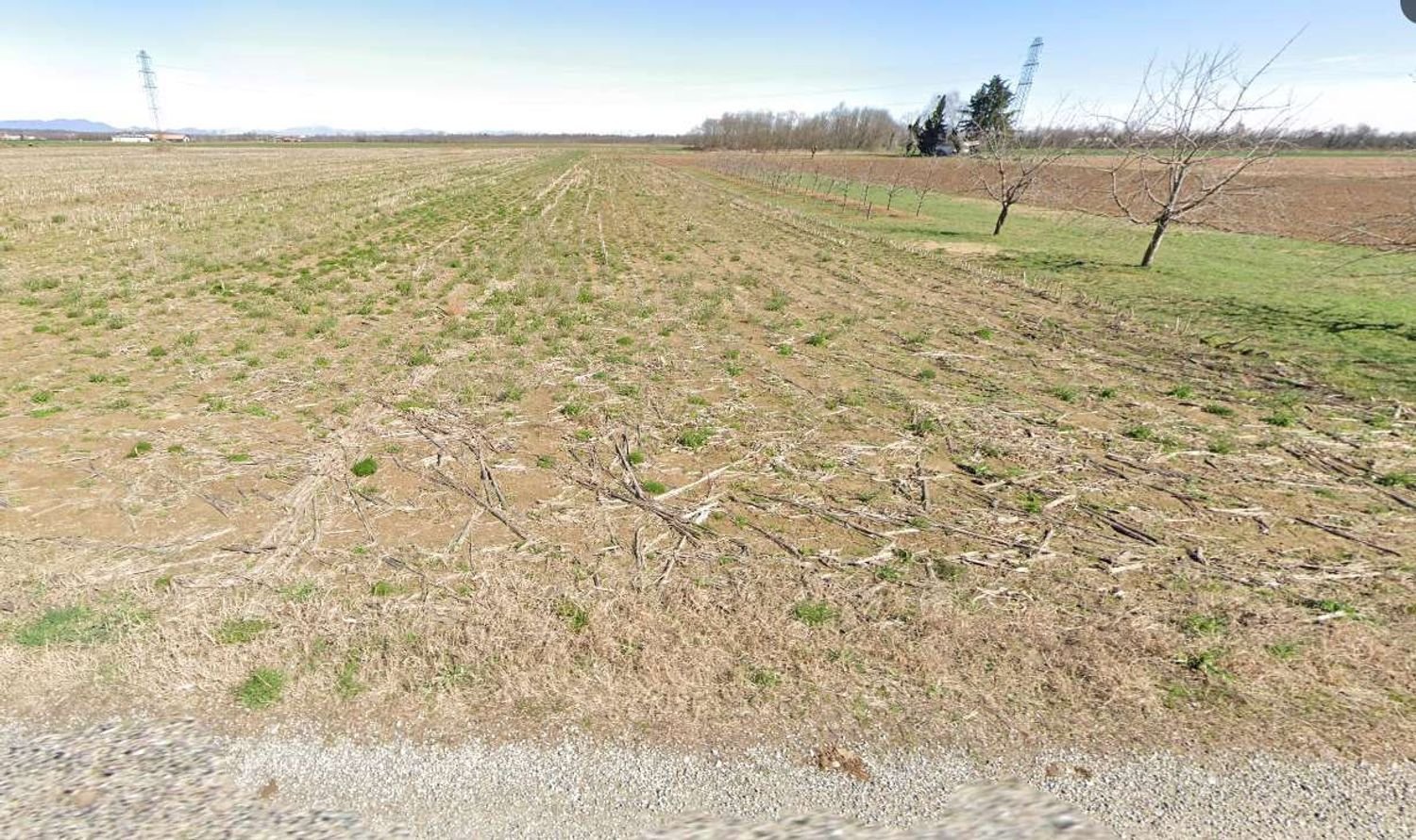  Land in Momo, Italy No. 365229