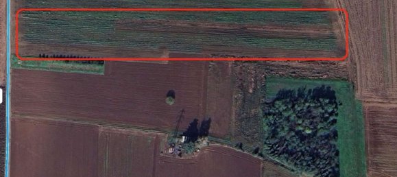  Land in Momo, Italy No. 365229 2