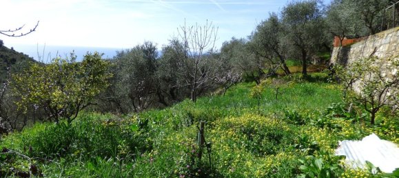 Studio in Sanremo, Italy No. 172414 6