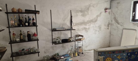 2 bedrooms House in Orth an der Donau, Austria No. 129018 12