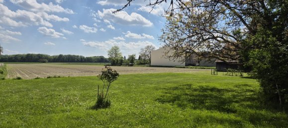 2 bedrooms House in Orth an der Donau, Austria No. 129018 4