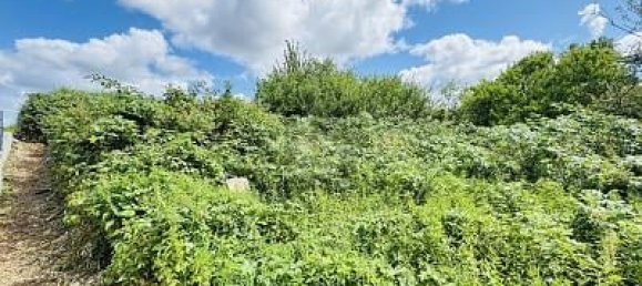 1561m² Land in Hamburg-Mitte, Germany No. 280260 2