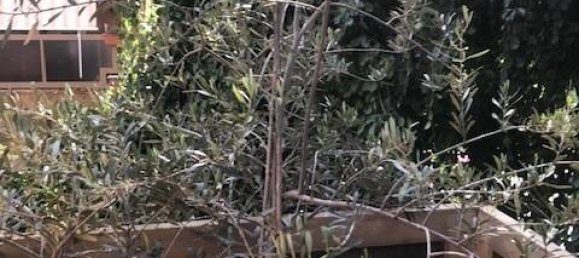 3 rooms Apartment in Novara, Italy No. 284144 27