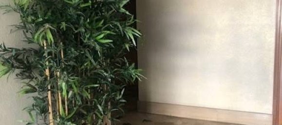 3 rooms Apartment in Novara, Italy No. 284144 36