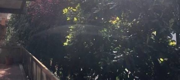 3 rooms Apartment in Novara, Italy No. 284144 25