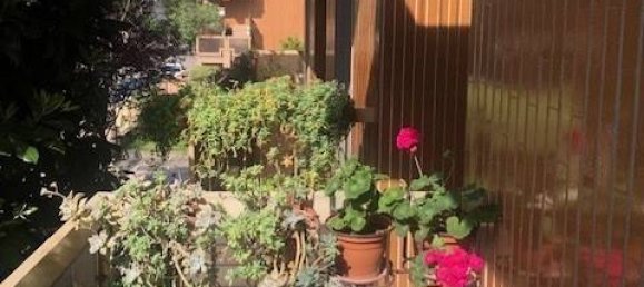 3 rooms Apartment in Novara, Italy No. 284144 23
