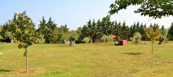 6 غرف نوم فيلا في Chalkidiki, Greece رقم 6061 16