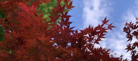 3-salle Bungalow à Seebenstein, Austria No. 193377 15