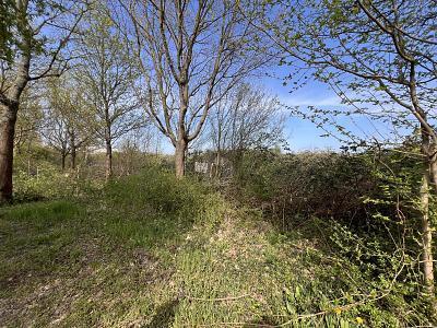 Земельный участок 4800м² в Северная Саксония, Германия № 350550