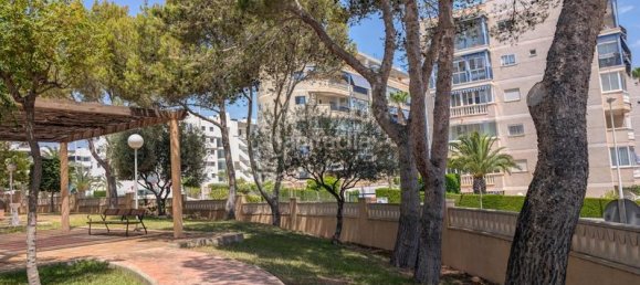 2 bedrooms Apartment in Alicante, Spain No. 159650 29