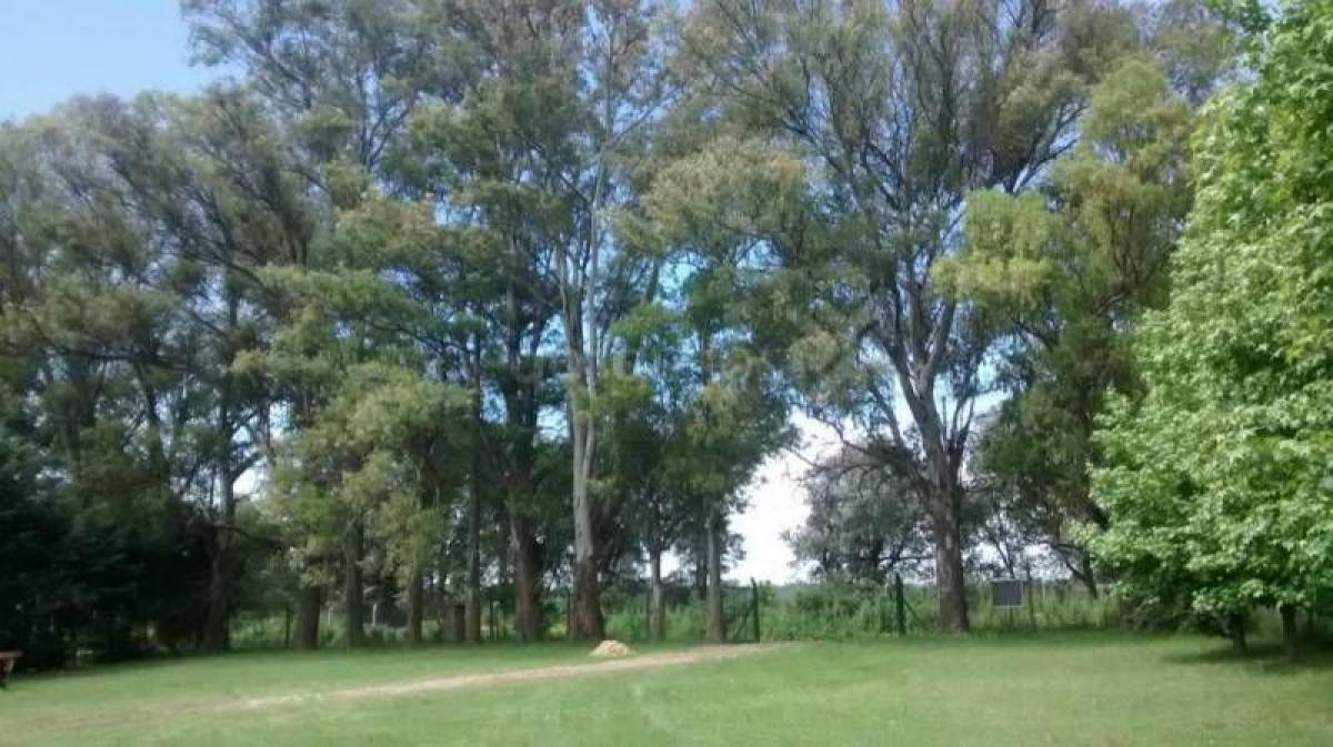 Ферма с 4 спальнями в Пилар, Аргентина № 41119