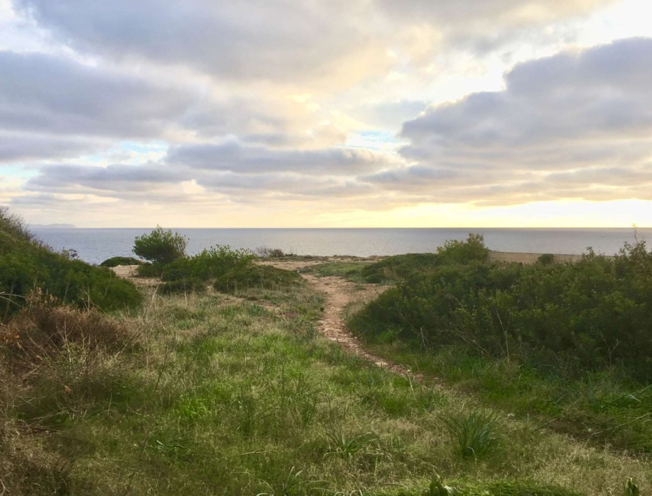  Land in Llucmajor, Spain No. 190290