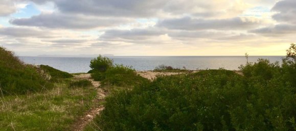 Land in Llucmajor, Spain No. 190290 2