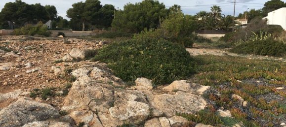 Land in Llucmajor, Spain No. 190290 10