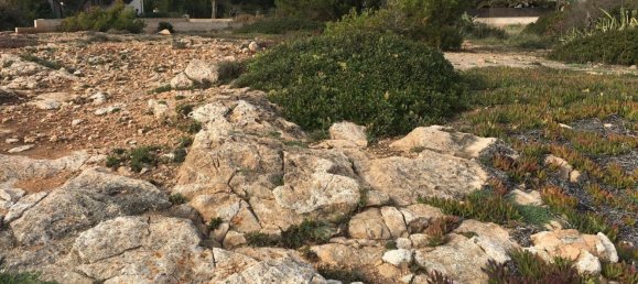 Land in Llucmajor, Spain No. 190290 8