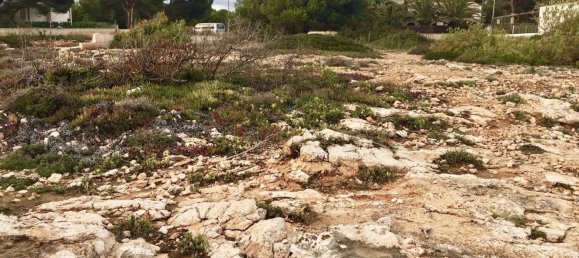 Land in Llucmajor, Spain No. 190290 9