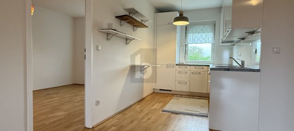 3 rooms Apartment in Oggau am Neusiedler See, Austria No. 225102 5