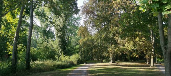 2 rooms Apartment in Nordsachsen, Germany No. 135189 17