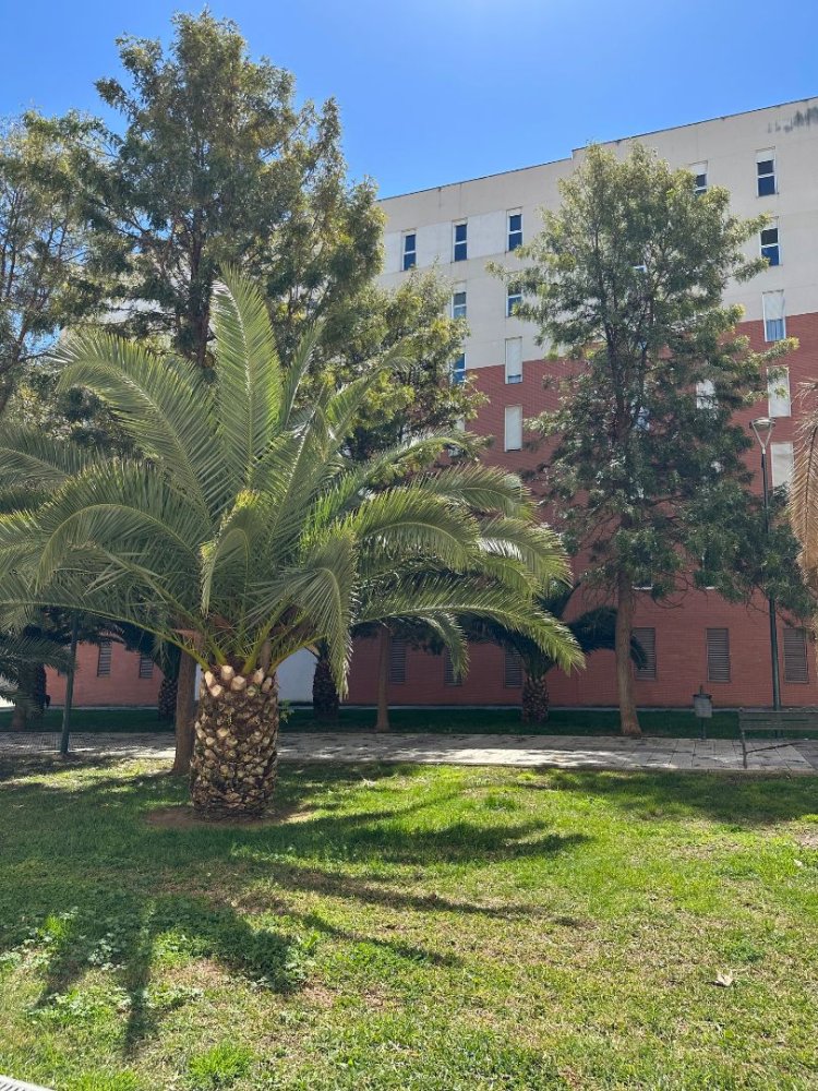 Apartamento de 3 dormitorios en Badajoz, Spain No. 186775