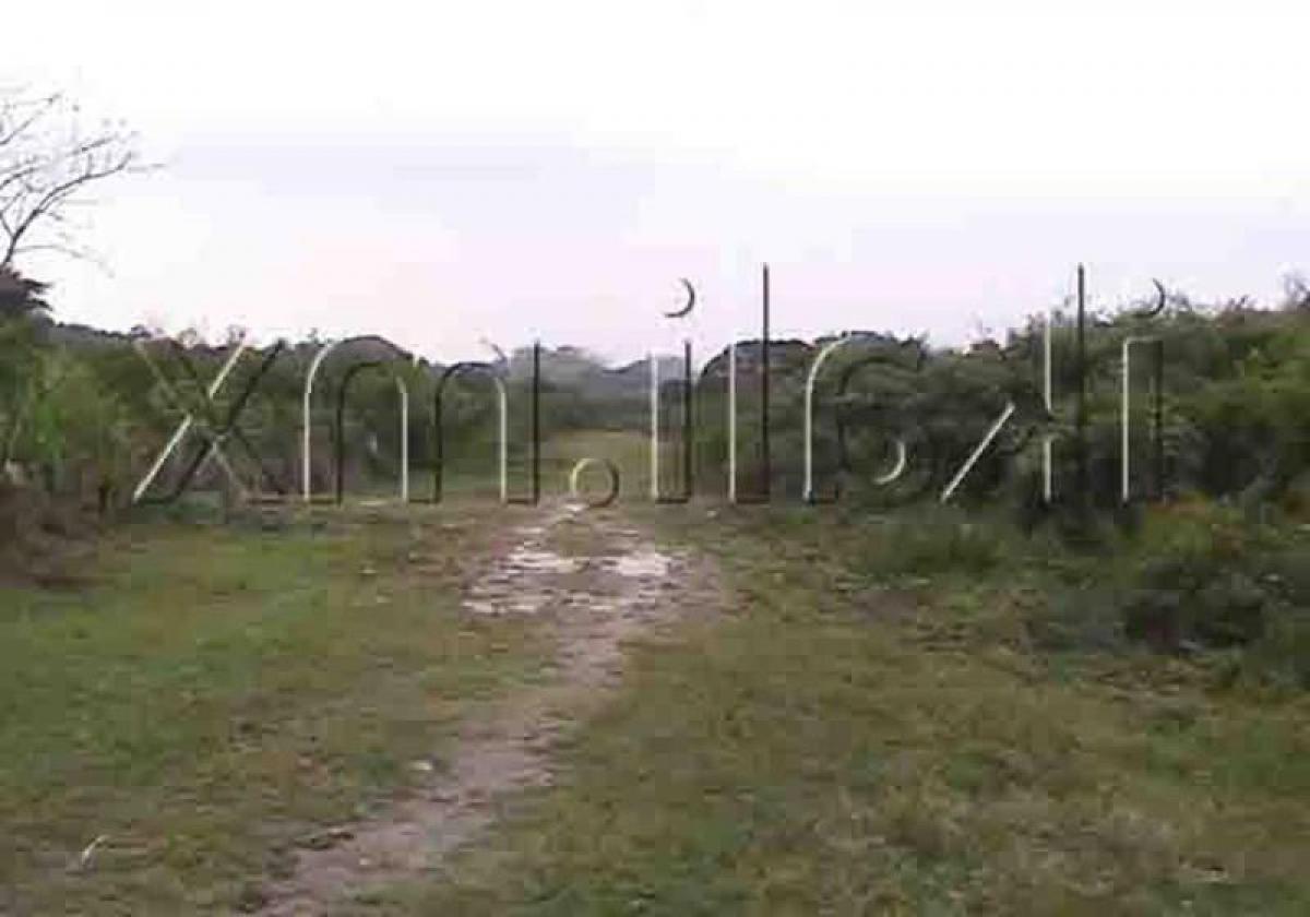  Land in Veracruz, Mexico No. 207089