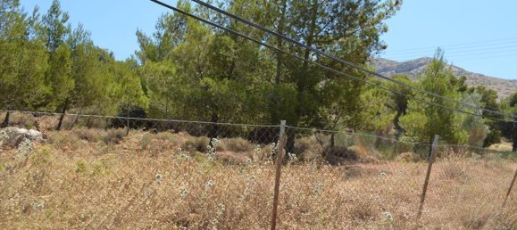 فندق في Kalyvia Thorikou, Greece 7700متر مربع رقم 7693 5