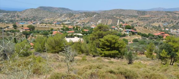 فندق في Kalyvia Thorikou, Greece 7700متر مربع رقم 7693 7