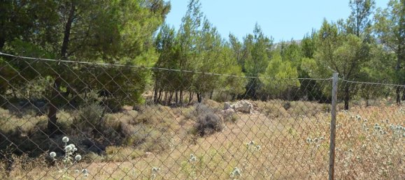 فندق في Kalyvia Thorikou, Greece 7700متر مربع رقم 7693 4