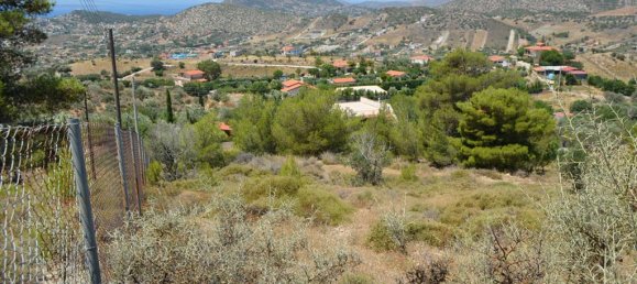 فندق في Kalyvia Thorikou, Greece 7700متر مربع رقم 7693 6