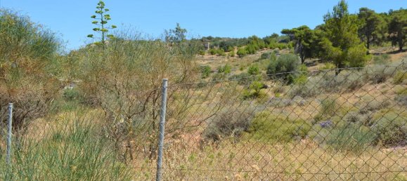 فندق في Kalyvia Thorikou, Greece 7700متر مربع رقم 7693 3