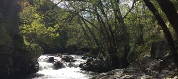 6 bedrooms Castles in Pedrogao Grande, Portugal No. 140848 25