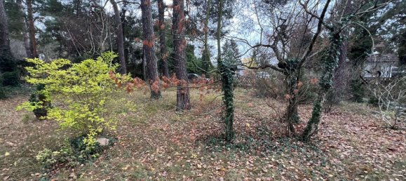  Land in Teltow-Flaming, Germany No. 248418 5