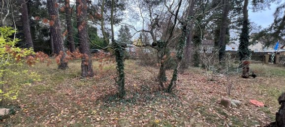  Land in Teltow-Flaming, Germany No. 248418 4