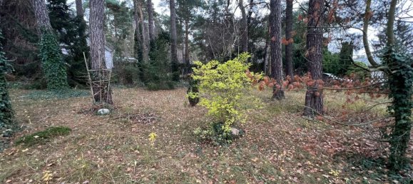  Land in Teltow-Flaming, Germany No. 248418 6