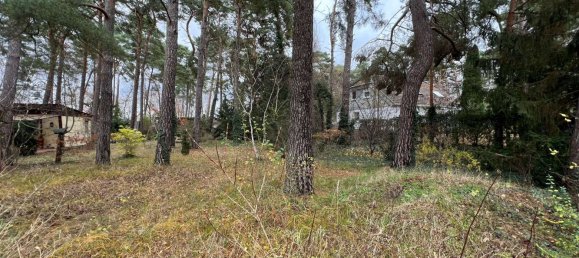  Land in Teltow-Flaming, Germany No. 248418 2