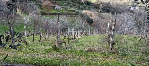 6 rooms Villa in Castrolibero, Italy No. 37008 24