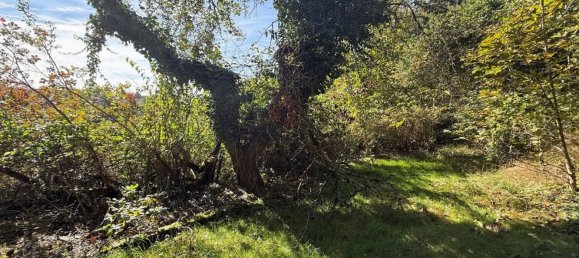  Land in Landshut, Germany No. 19898 6