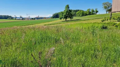 Terrain à Moosdorf, Austria No. 167416