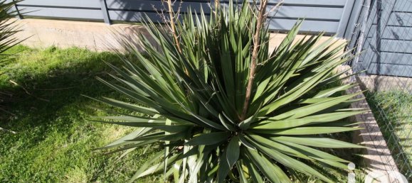 3 chambres Maison à Inzinzac-Lochrist, France No. 269231 11