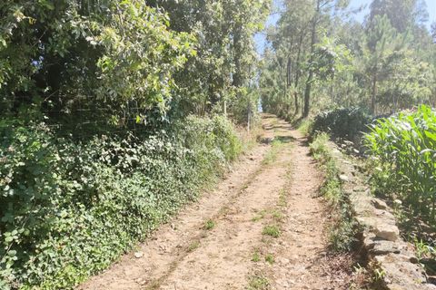 Terreno en Barcelos, Portugal No. 202265